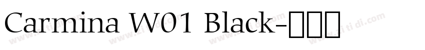 Carmina W01 Black字体转换